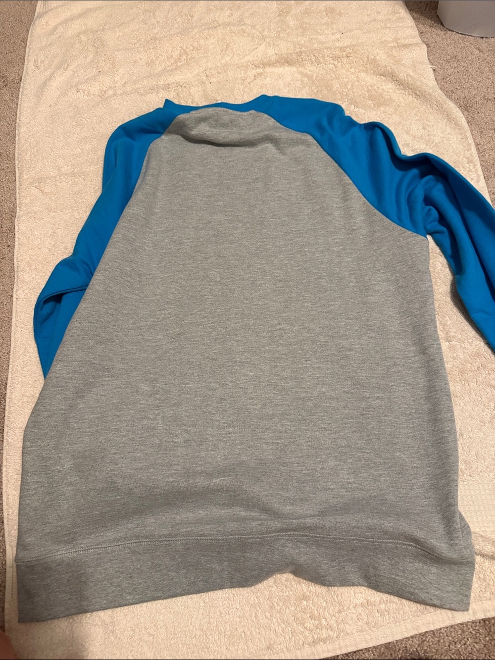 Panthers Raglan Crewneck Sweatshirt - Gray with Blue Sleeves - Picture 4 of 5